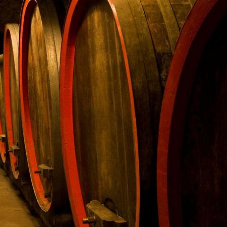 Ferienwohnung, Weingut Trockene Schmitts 란데르자커 외부 사진