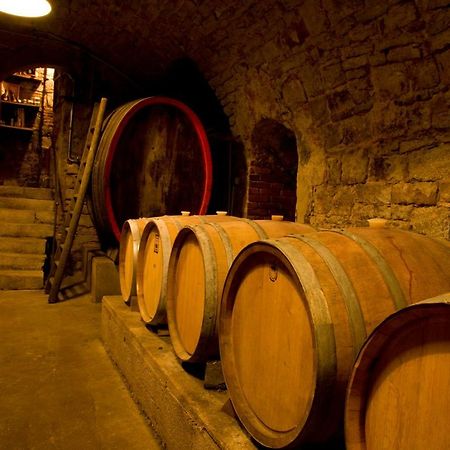 Ferienwohnung, Weingut Trockene Schmitts 란데르자커 외부 사진